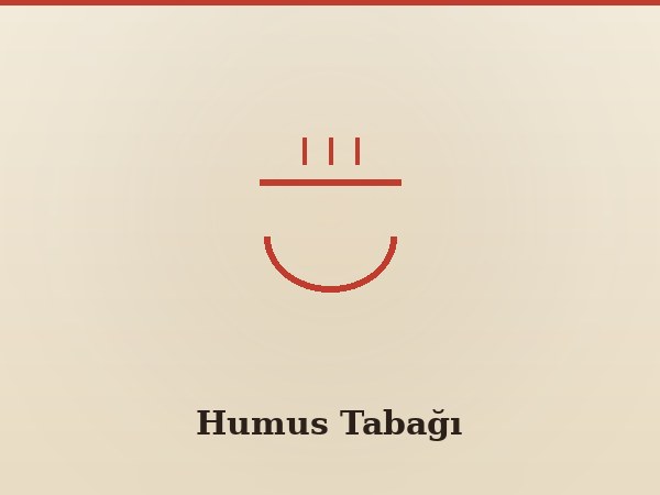 Humus Tabağı